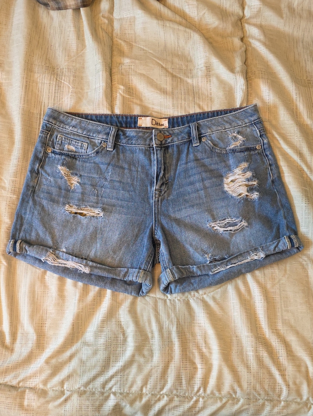Dittos Distressed Rolled Hem Denim Shorts